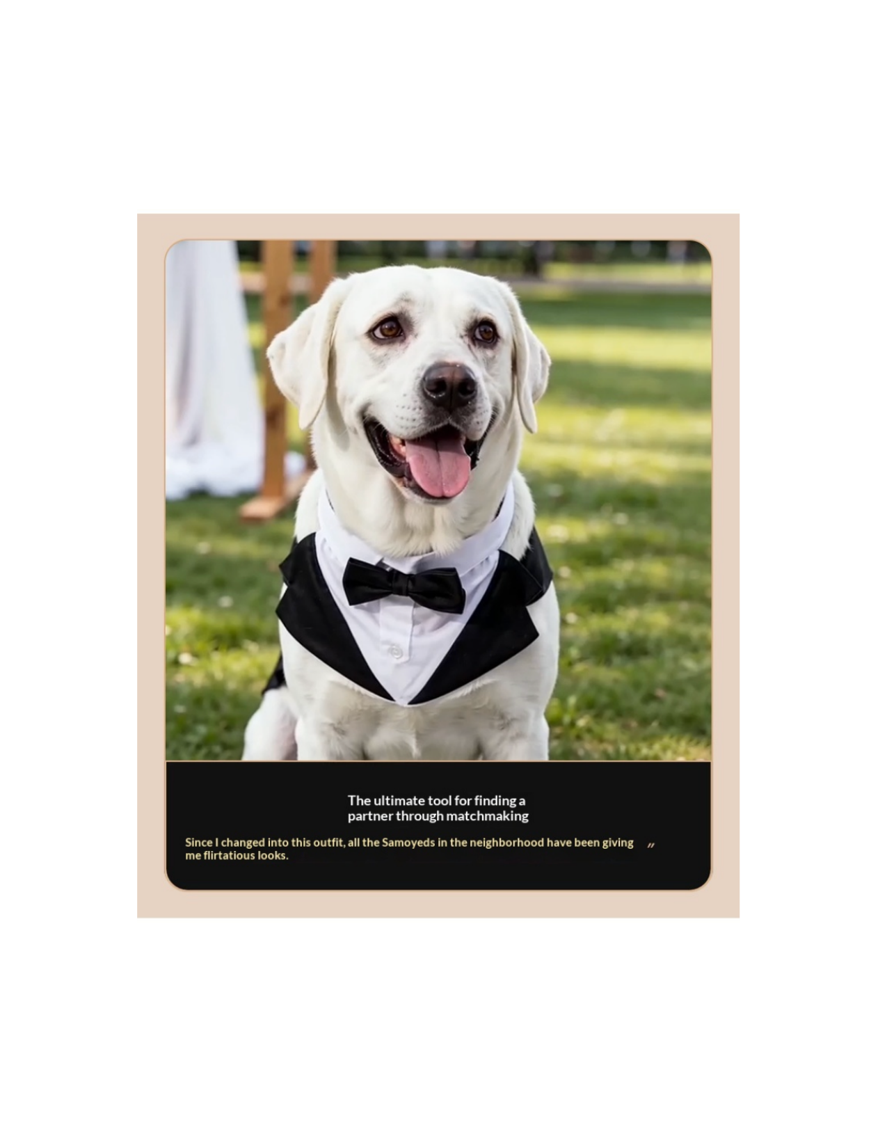 Dog Tuxedo Pet Wedding Groomsmen Outfit