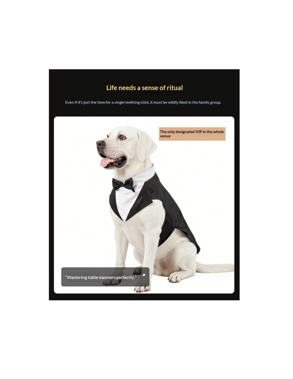Dog Tuxedo Pet Wedding Groomsmen Outfit