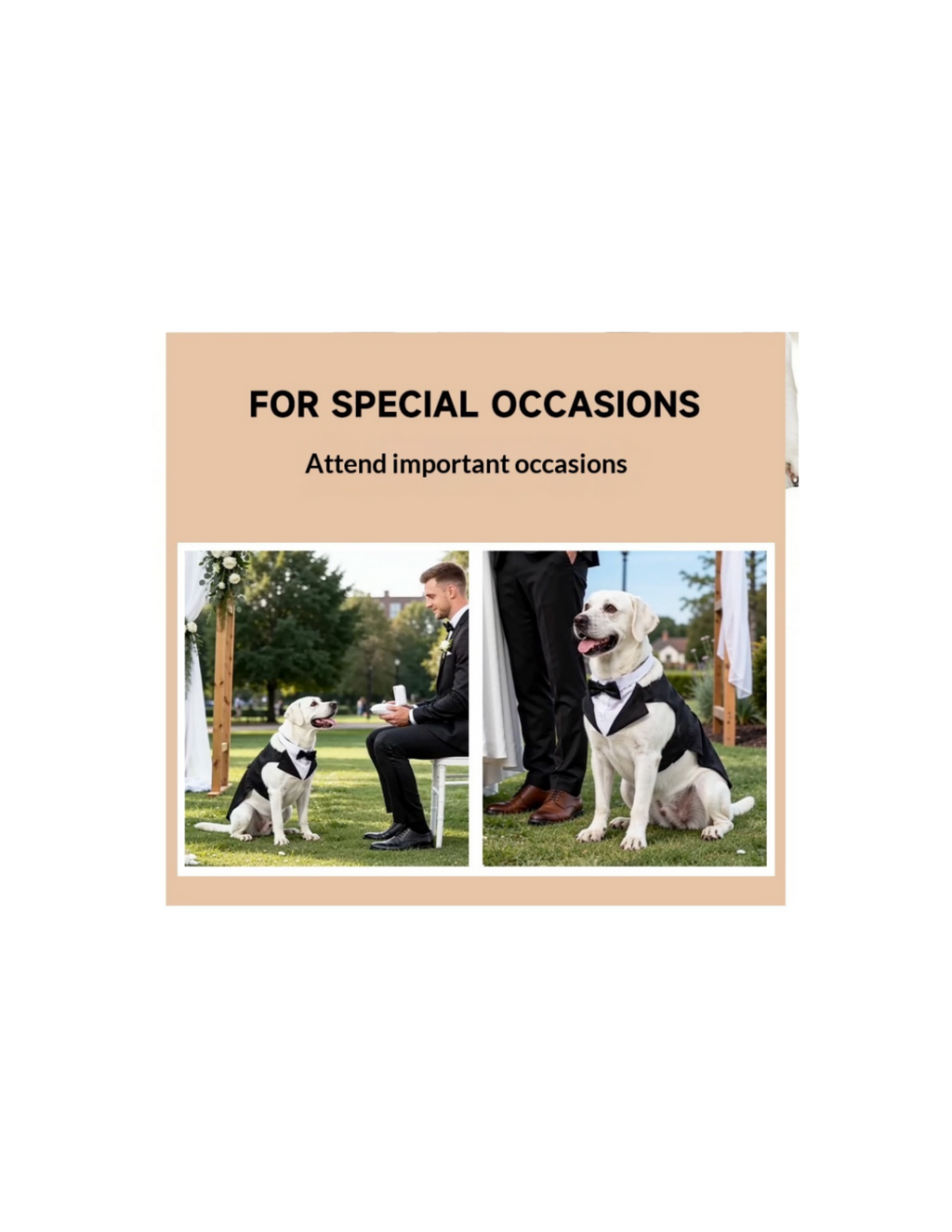Dog Tuxedo Pet Wedding Groomsmen Outfit