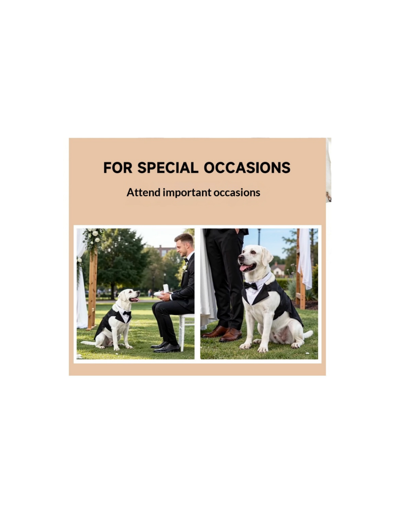 Dog Tuxedo Pet Wedding Groomsmen Outfit